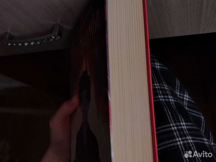 Межвремье Медина Мирай