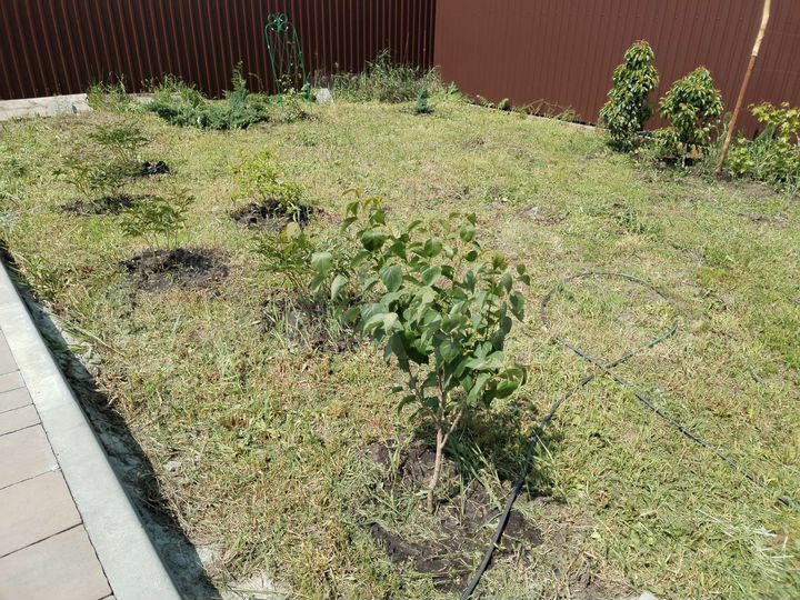 Таунхаус 64 м² на участке 2 сот.