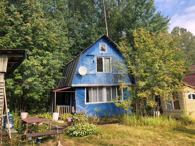 Полянское сельское. СНТ Лесное Полянское поселение. Ленинградская область, Выборгский р-н, Полянское сельское. СНТ Лесное Выборгский район. Дачи в Выборгском районе.