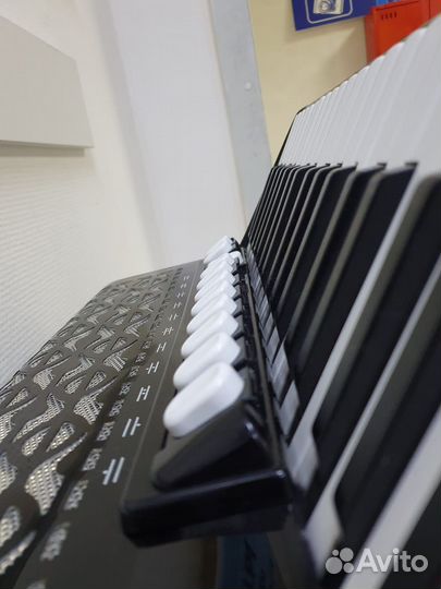 Новый концертный аккордеон из Германии