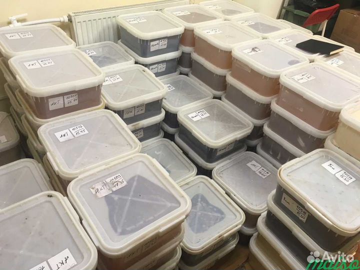 Мёд алтайский свежий опт