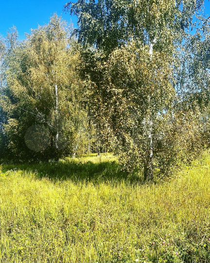 Участок 15 сот. (ИЖС)
