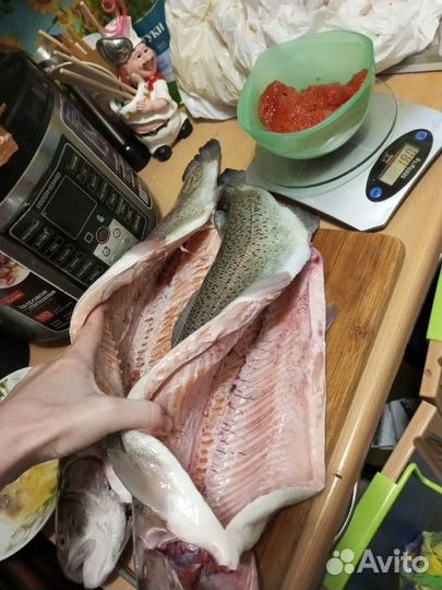 Свежая непотрошеная форель
