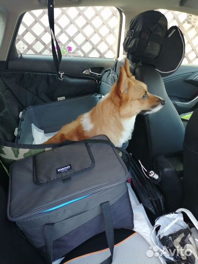 Автомоб. гамак (Трансформер) для перевозки Собак
