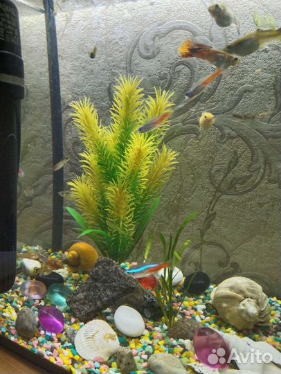 Украшение для аквариума