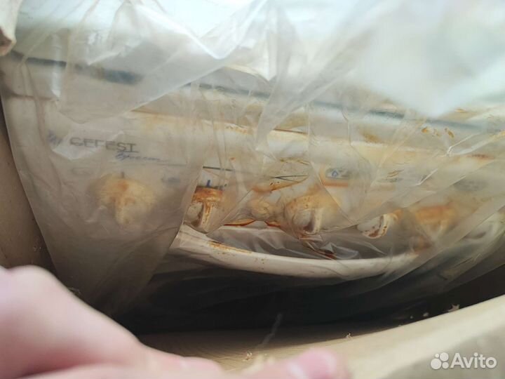 Газовая плита Gefest