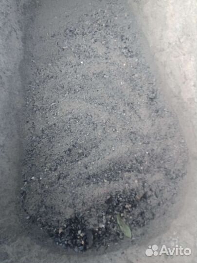 Зола древесная