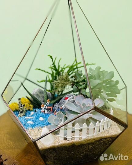 Флорариумы часть 1