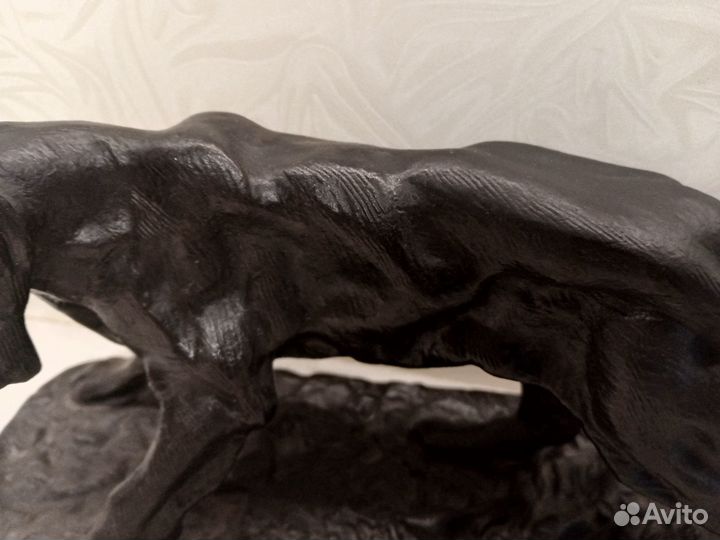 Собака Сеттер. Куса