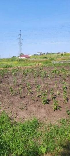 Участок 6 сот. (СНТ, ДНП)