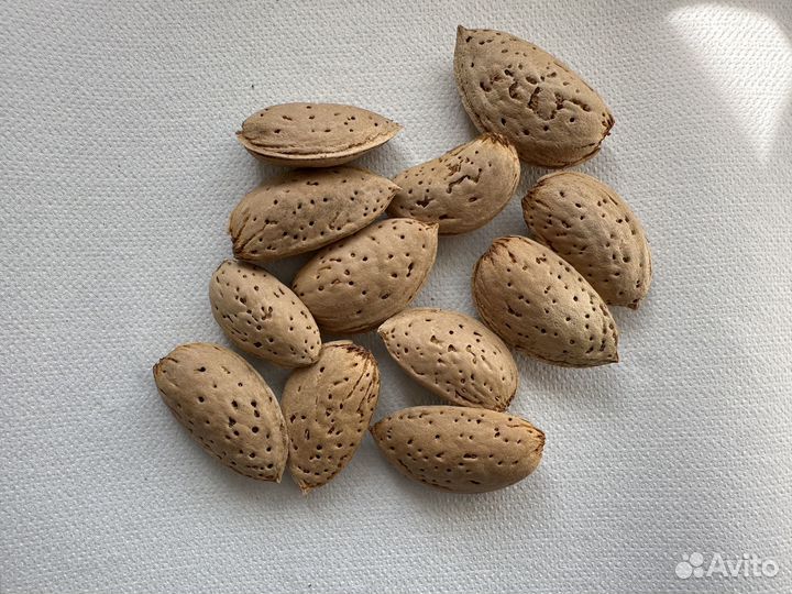 Миндаль сладкий, неочищенный твердоскорлупый 250гр