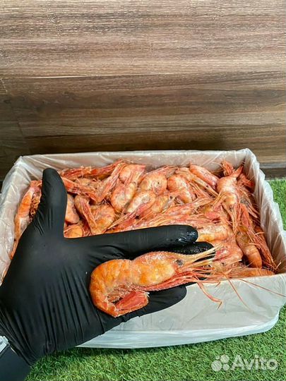 Креветка Ботан