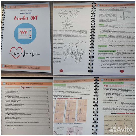 Методичка по основам экг