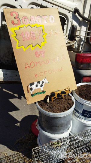 Перегной навоз продажа