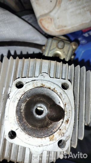 Группа муравей