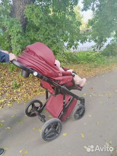Коляска adamex luciano (2 в 1) экокожа