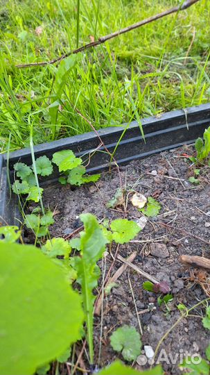 Бордюр садовый пластиковый