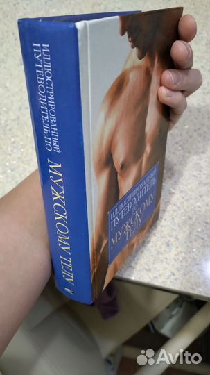 Книга путеводитель по мужскому телу