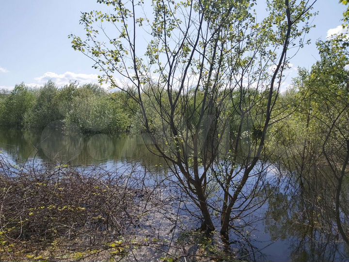Участок 6,64 га (СНТ, ДНП)