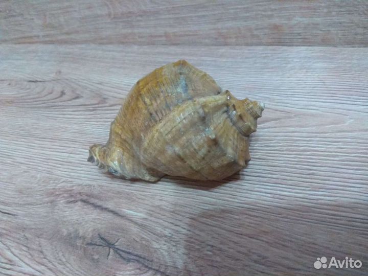 Сувениры, свечи, снежный шар