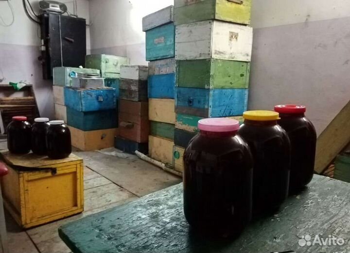 Гречишный мёд (яркий и насыщенный вкус) доставка