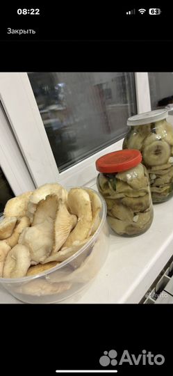 Грузди соленые