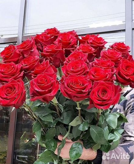 Высокие Розы Гиганты Доставка Круглосуточно