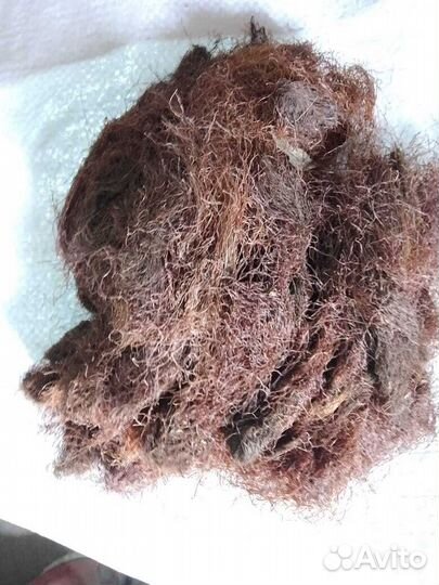 Кукурузные рыльца цельные