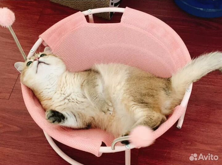 Лежанка гамак для кошек с игрушками