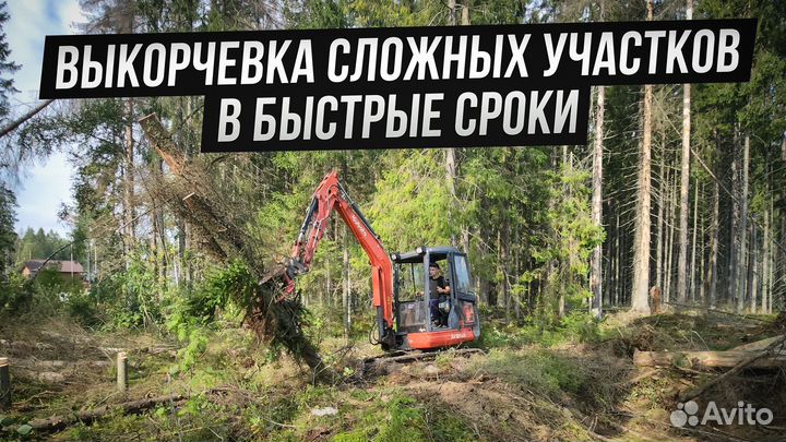 Спил деревьев. Корчевание пней