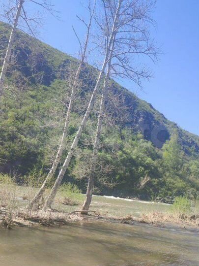 Участок 36 га (СНТ, ДНП)