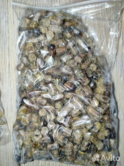 Перга пчелиная, забрус