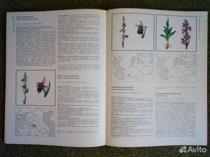 Красная книга СССР 2 Тома