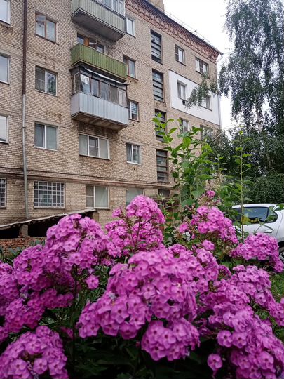 1-к. квартира, 30 м², 3/5 эт.