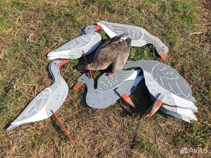 Профиля гусей