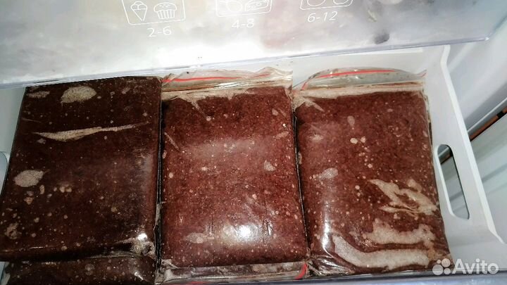 Корм для рыб артемия,мотыль,l сомы,номерные сомы,о