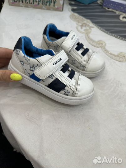 Кеды geox