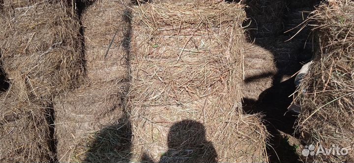Сено в мини рулонах
