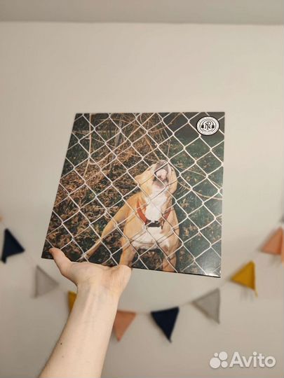 Knocked Loose – Pop Culture винил цветной