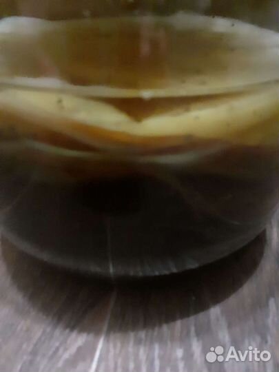 Чайный гриб освежающий целебный напиток