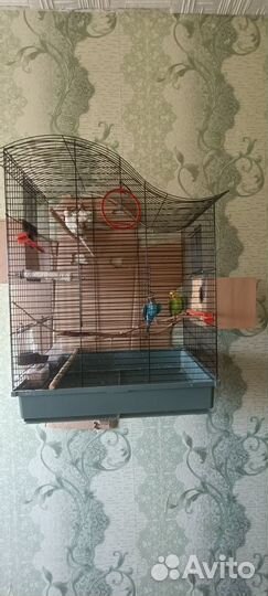 Клетка для больших попугаев