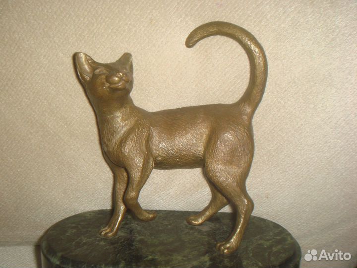 Сфинкс - кошка. Жестяная банка