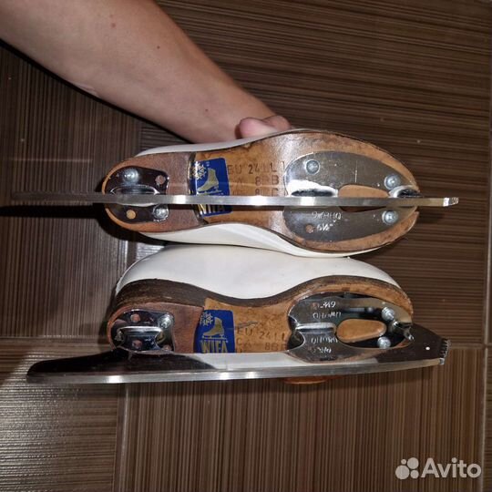 Коньки Wifa prima set 24