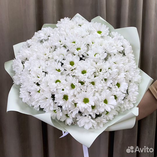 Букет ромашек XXL