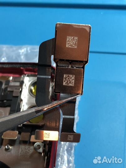 Камера на iPhone 11