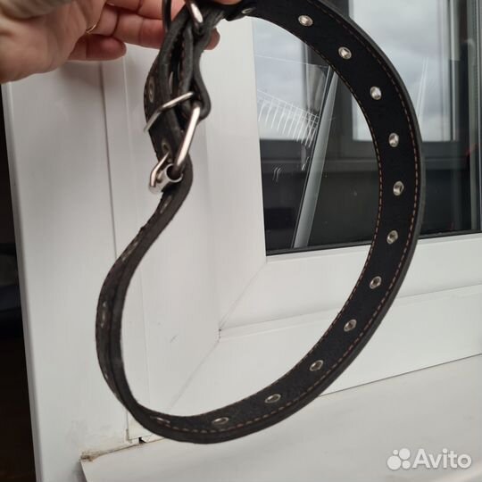 Ошейник для собак кожаный