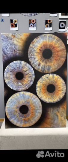 Готовый бизнес на снимках радужки