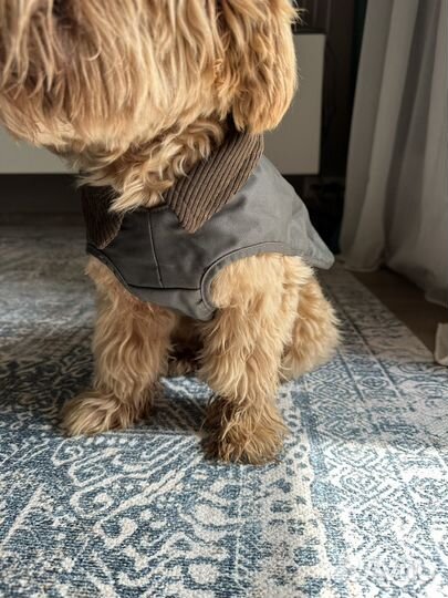 Пальто для собак