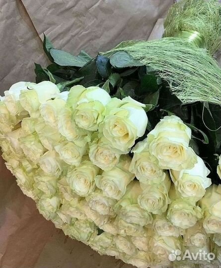 Высокие розы