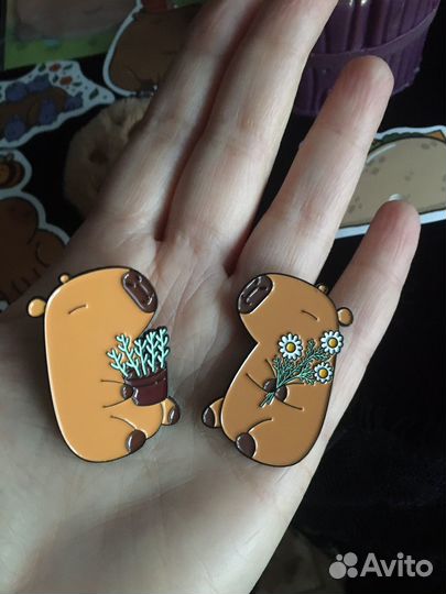 Капибара набор подарочный